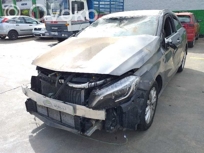 A W176 A-class  A2469009815