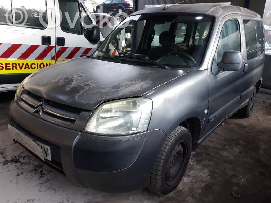 Berlingo Berlingo  9650359580