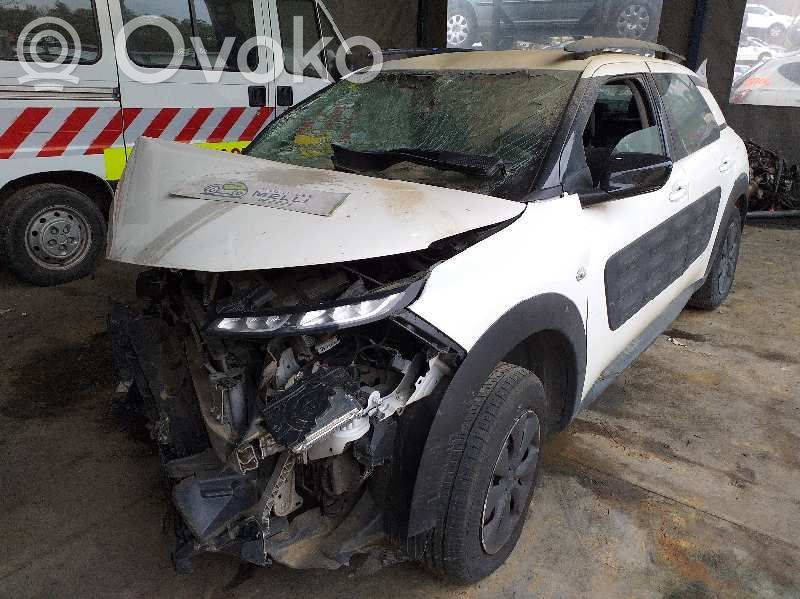 C4 Cactus C4 Picasso, Grand Picasso, Aircross, Cactus  9810313280