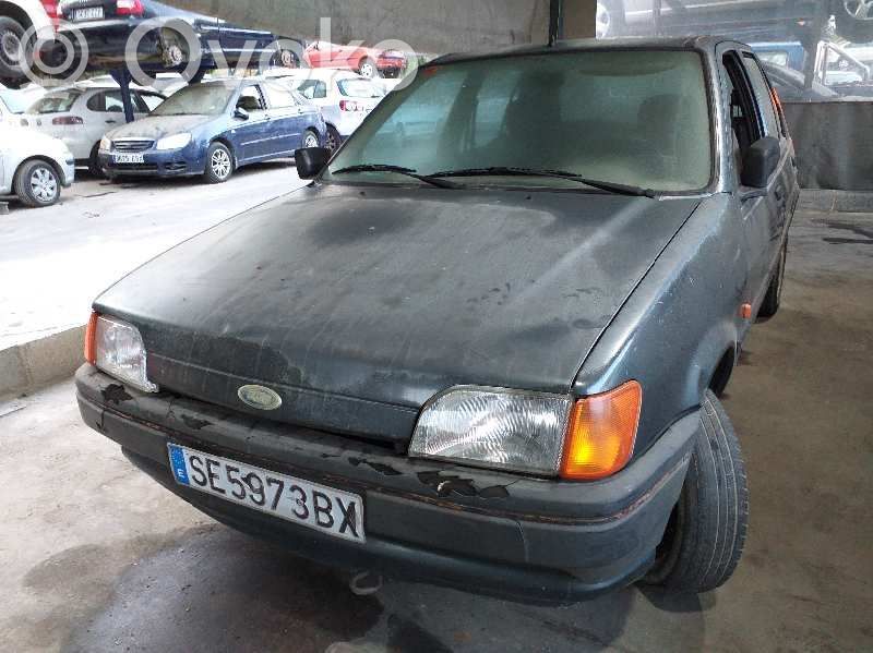 Fiesta Fiesta  7186296