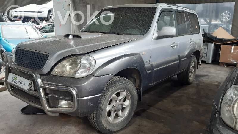 Terracan Terracan  282004A210