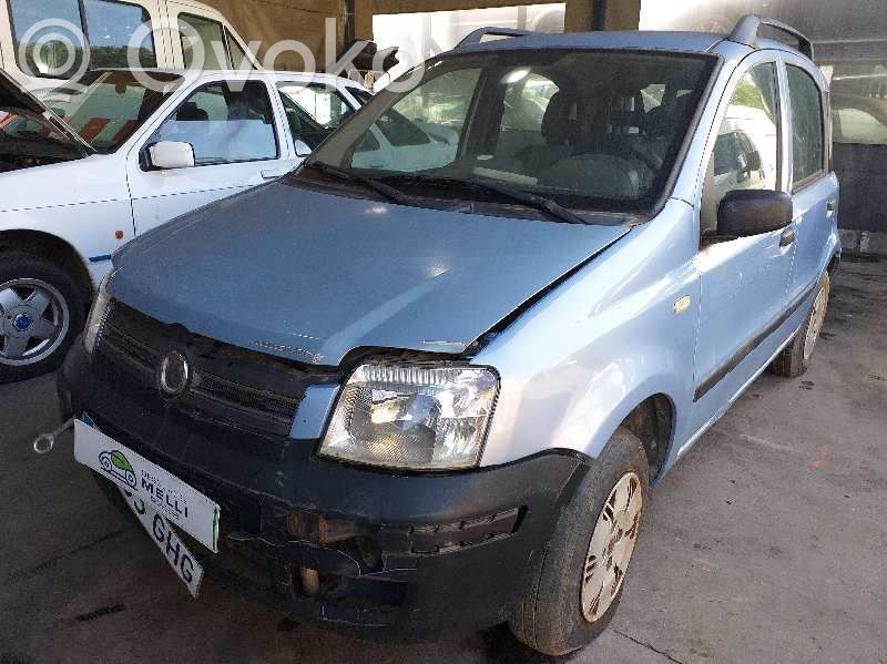 Panda II Panda  51799595