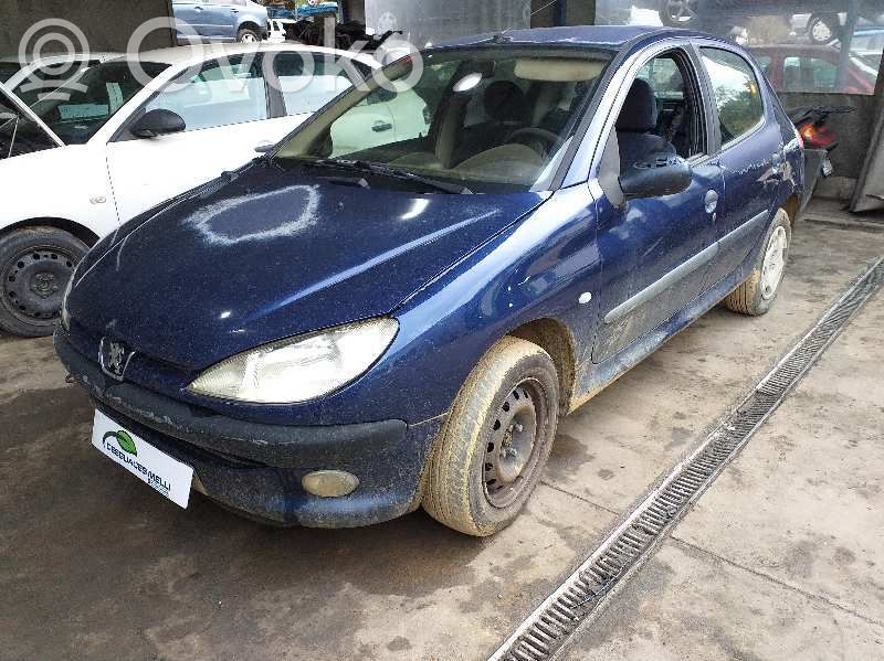 206 206, 206+  9642013980
