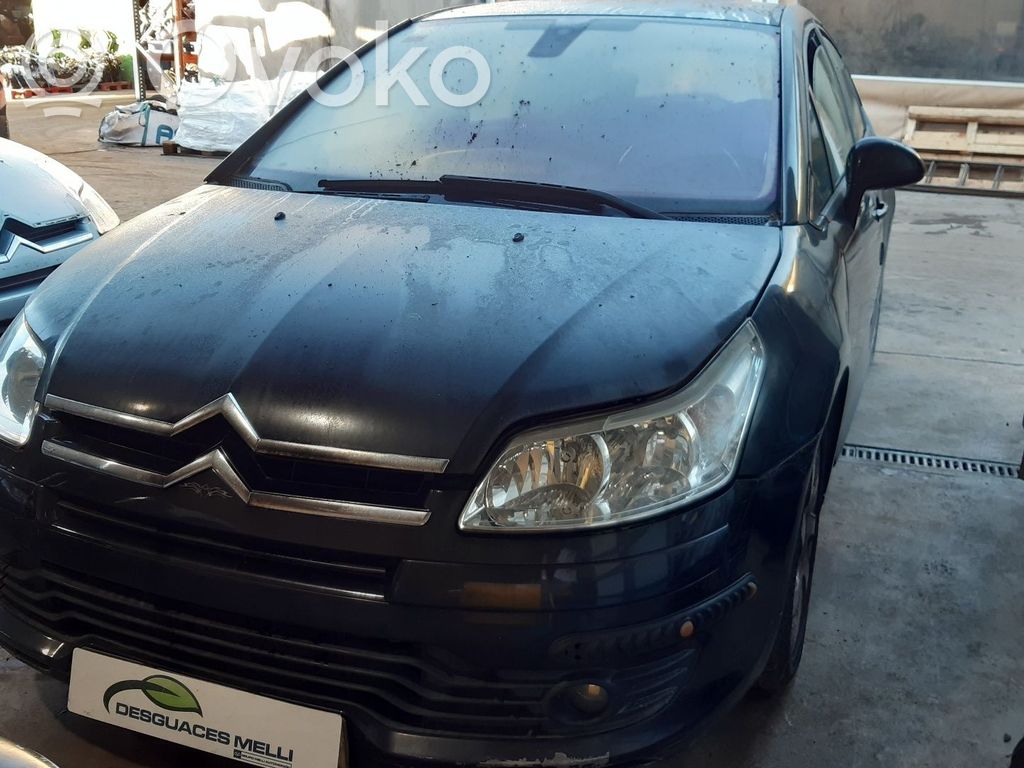 C4 I C4 Picasso, Grand Picasso, Aircross, Cactus  1617934080