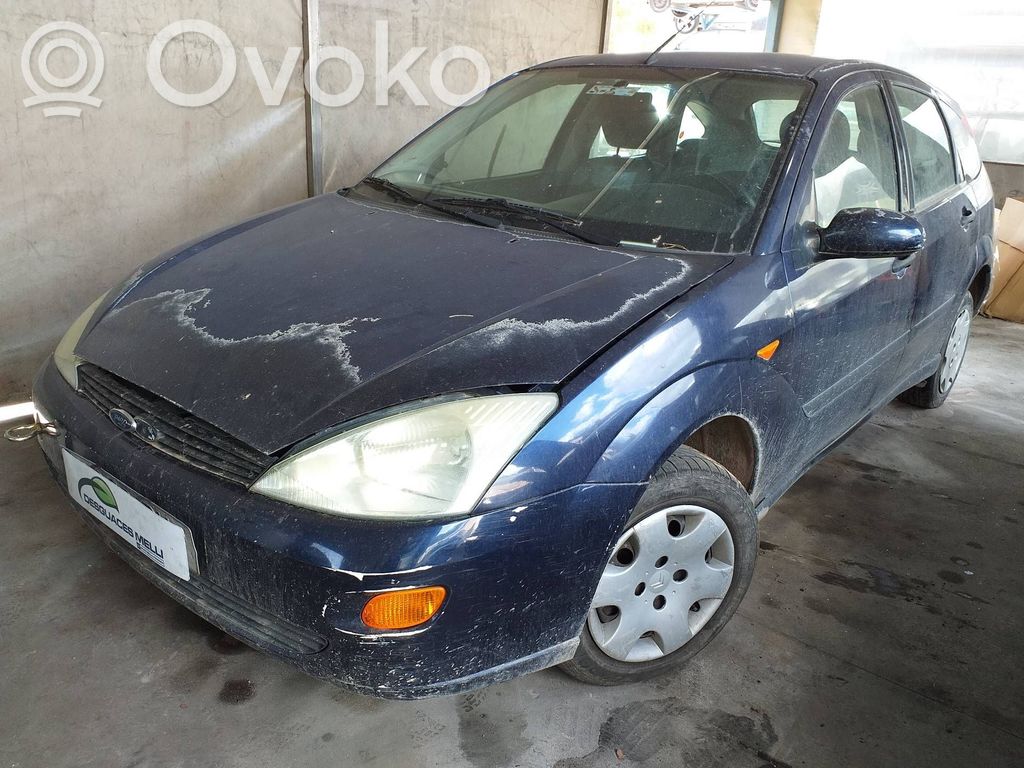 Focus Focus  1150277