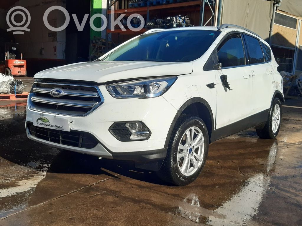 Kuga II Kuga  1878055