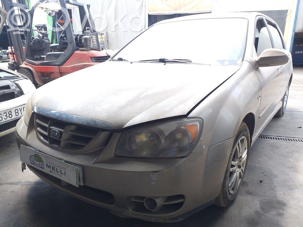 Cerato Cerato  972502F000