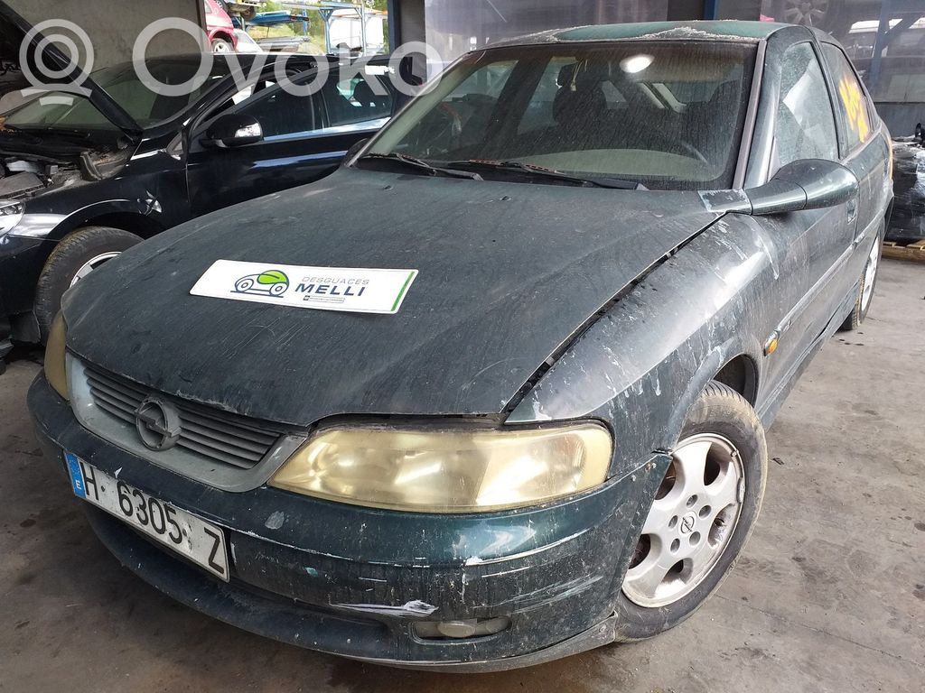 Vectra B Vectra  24443598