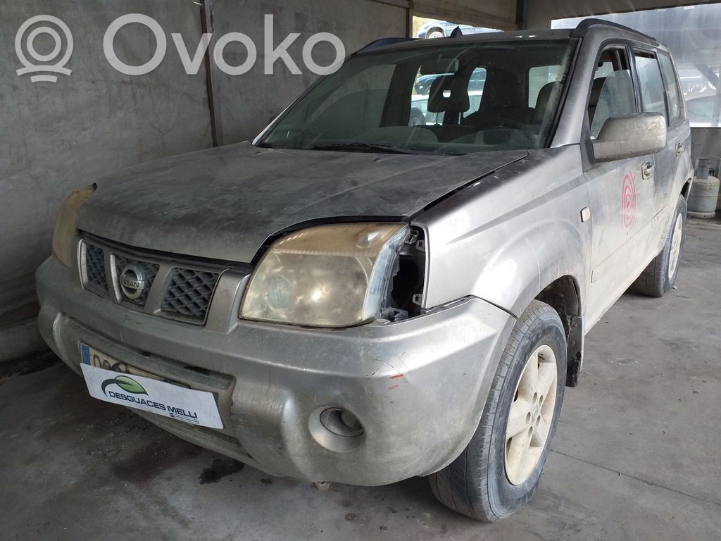 X-Trail T30 X-Trail  255408H701