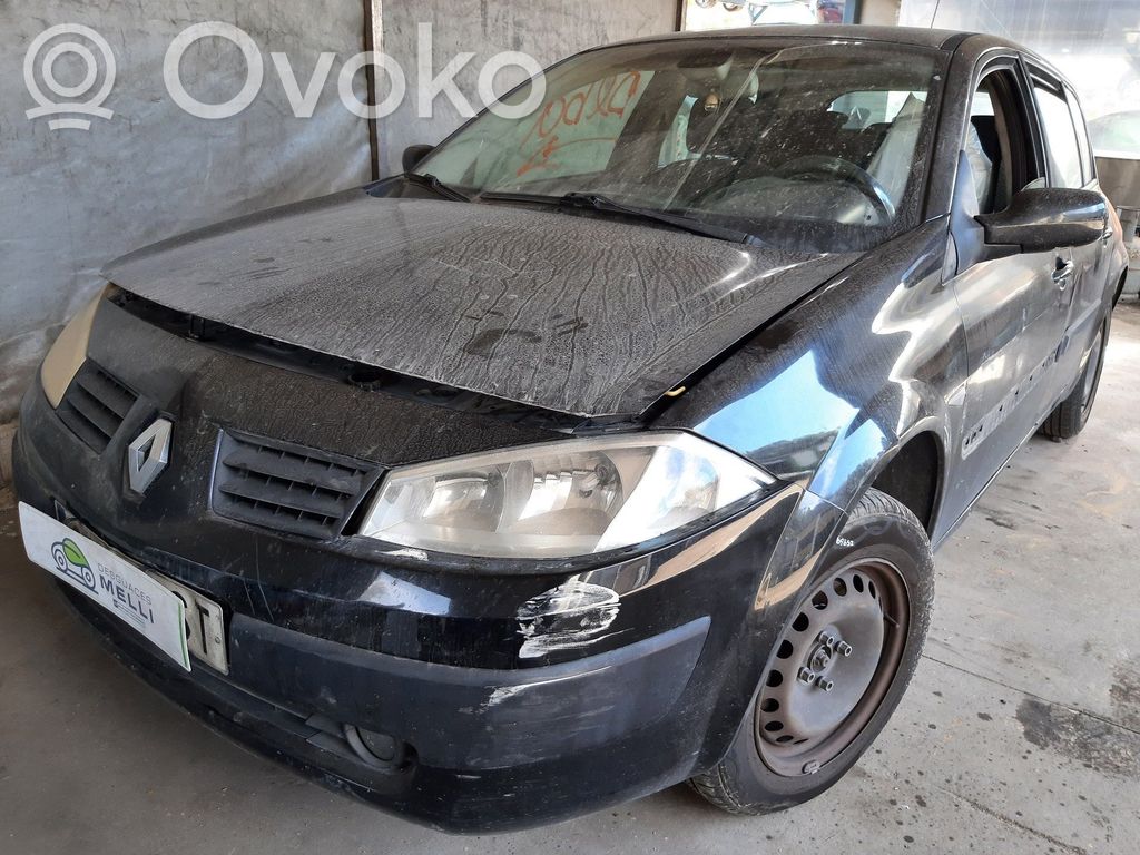 Megane II Megane  8200027779