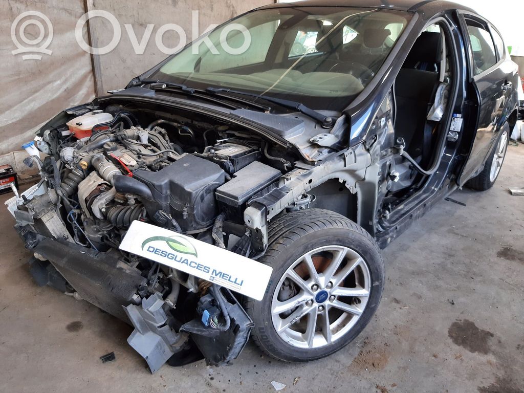 Focus Focus  E1BT14D212FE