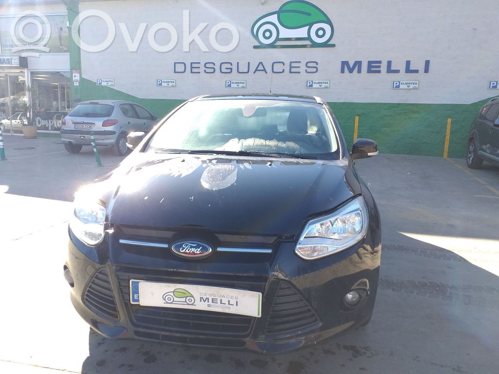 Focus Focus  1844832