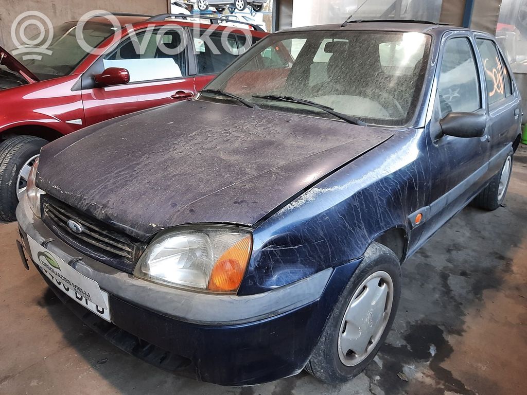 Fiesta Fiesta  95BF9B969