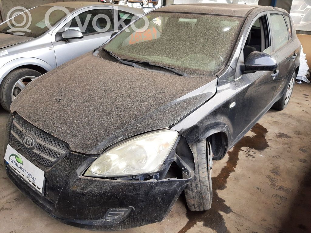 Ceed Ceed, Ceed SW, Pro Ceed  876201H100CA