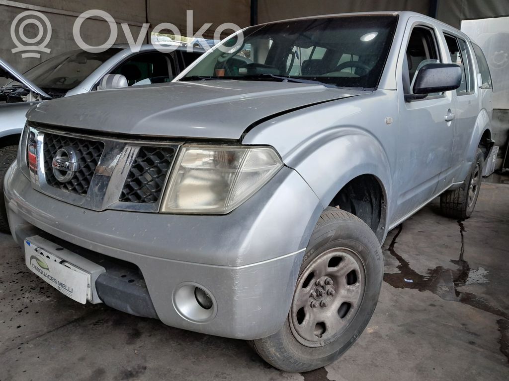 Pathfinder R51 Pathfinder  8ML376746041