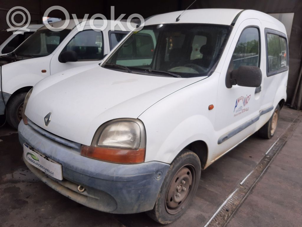 Kangoo I Kangoo  8200029694F