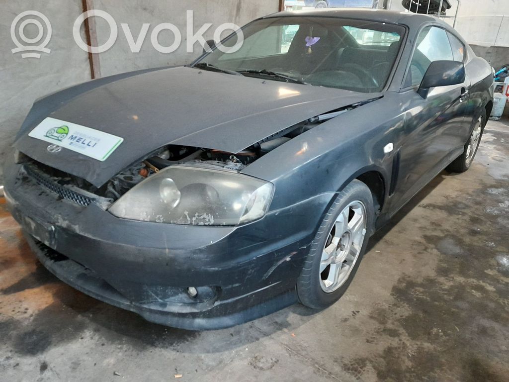 Coupe Coupe  253802C000