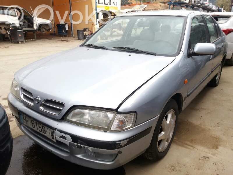 Primera Primera  255602F515