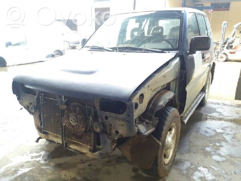 Terrano Terrano  248110F000