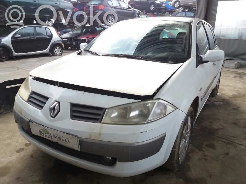 Megane II Megane  8200381849