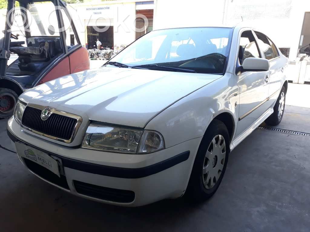 Octavia Mk2 (1Z) Octavia  028130202P