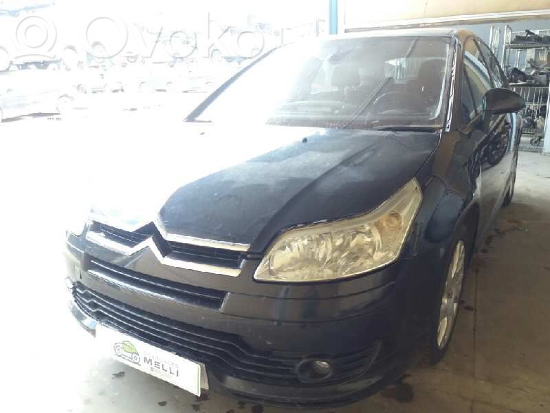 C4 I C4 Picasso, Grand Picasso, Aircross, Cactus  1D