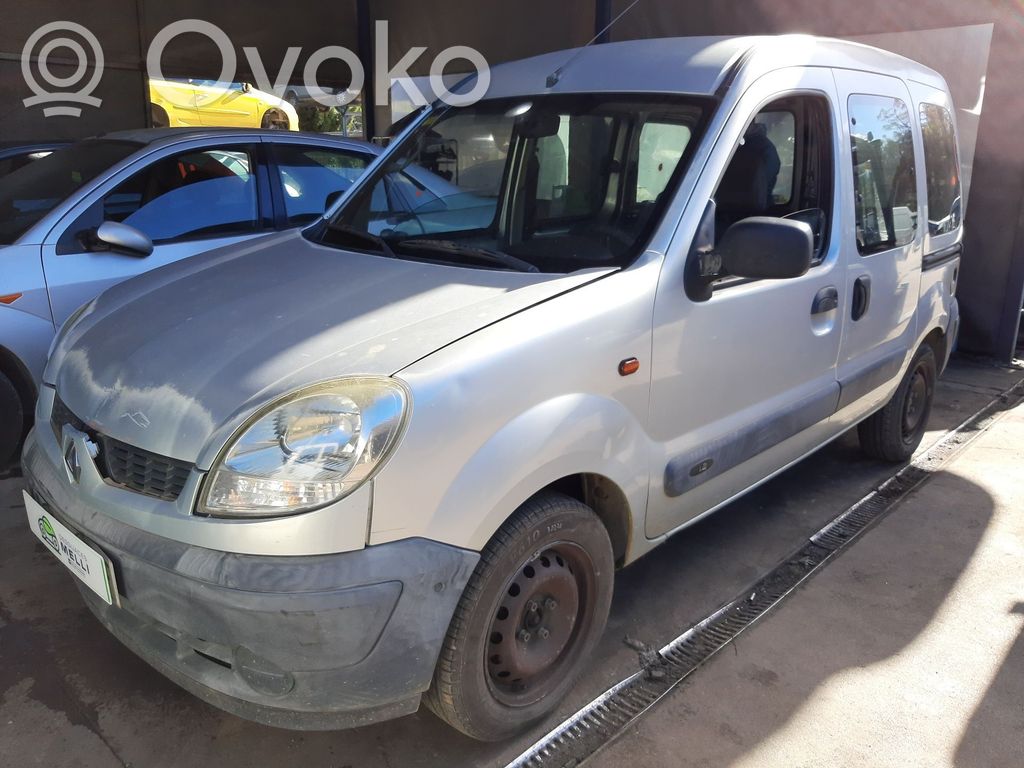 Kangoo I Kangoo  2542540D