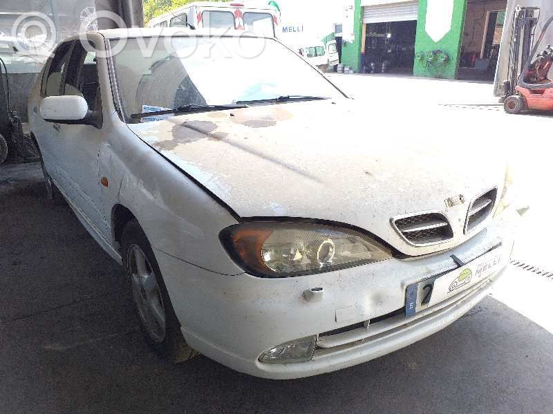 Primera Primera  64554