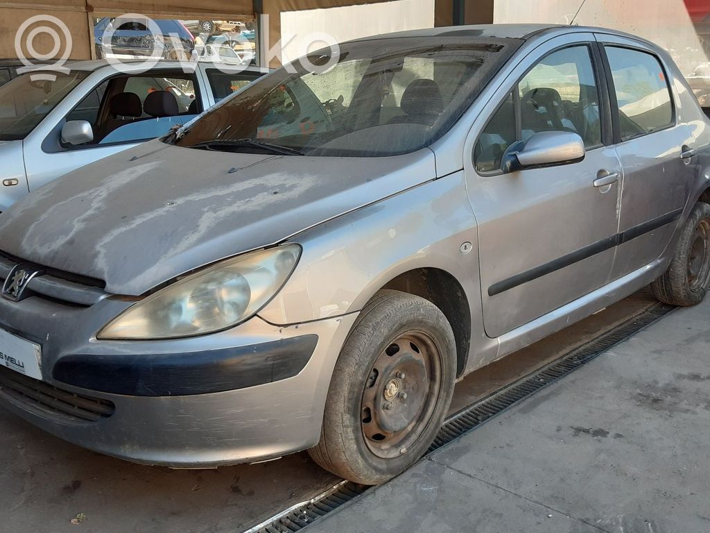 307 307  9632984980