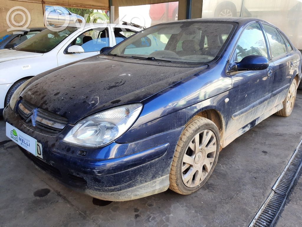 C5 C5, C5 Aircross  9650931580