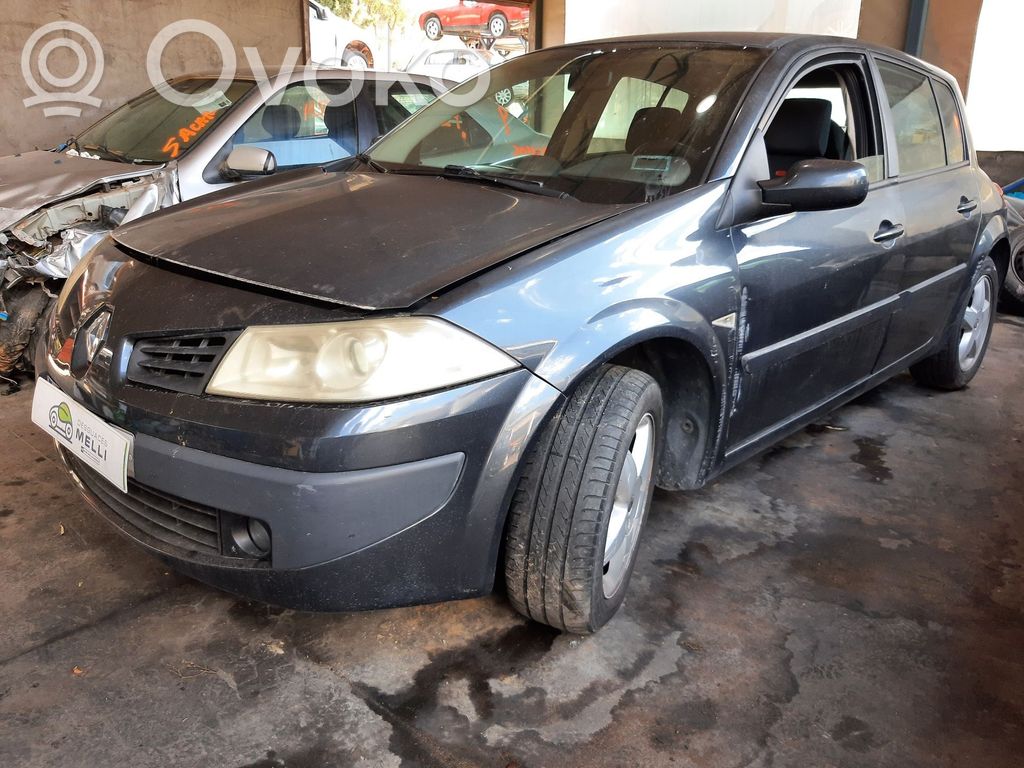 Megane II Megane  407396