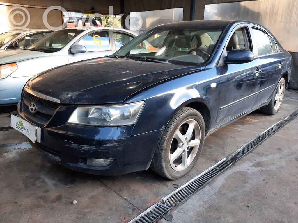 Sonata Sonata  253853K400