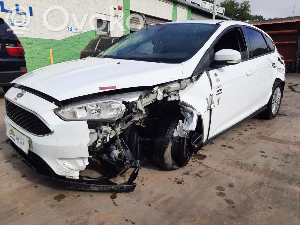 Focus Focus  1859062