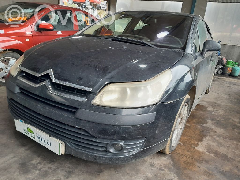 C4 I C4 Picasso, Grand Picasso, Aircross, Cactus  96435311VD