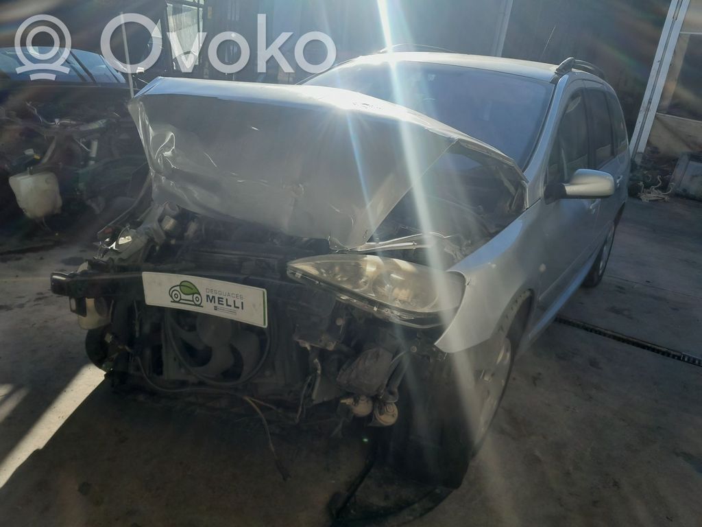 307 307  9645247080
