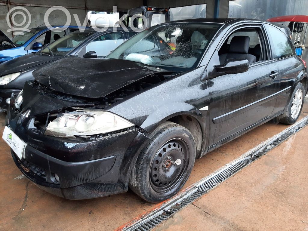 Megane II Megane  407396
