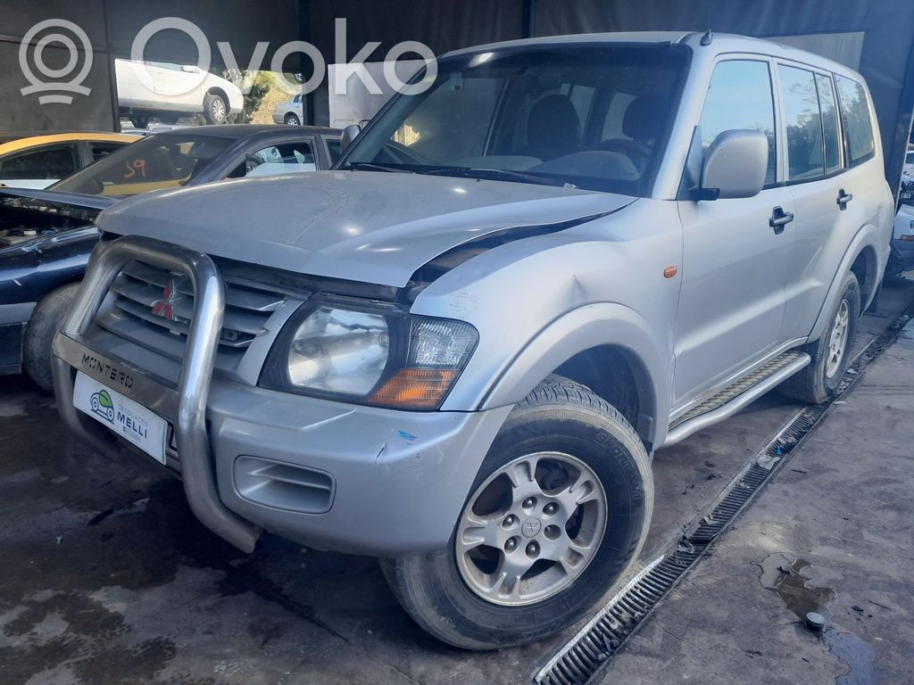Montero Montero  MZ312395