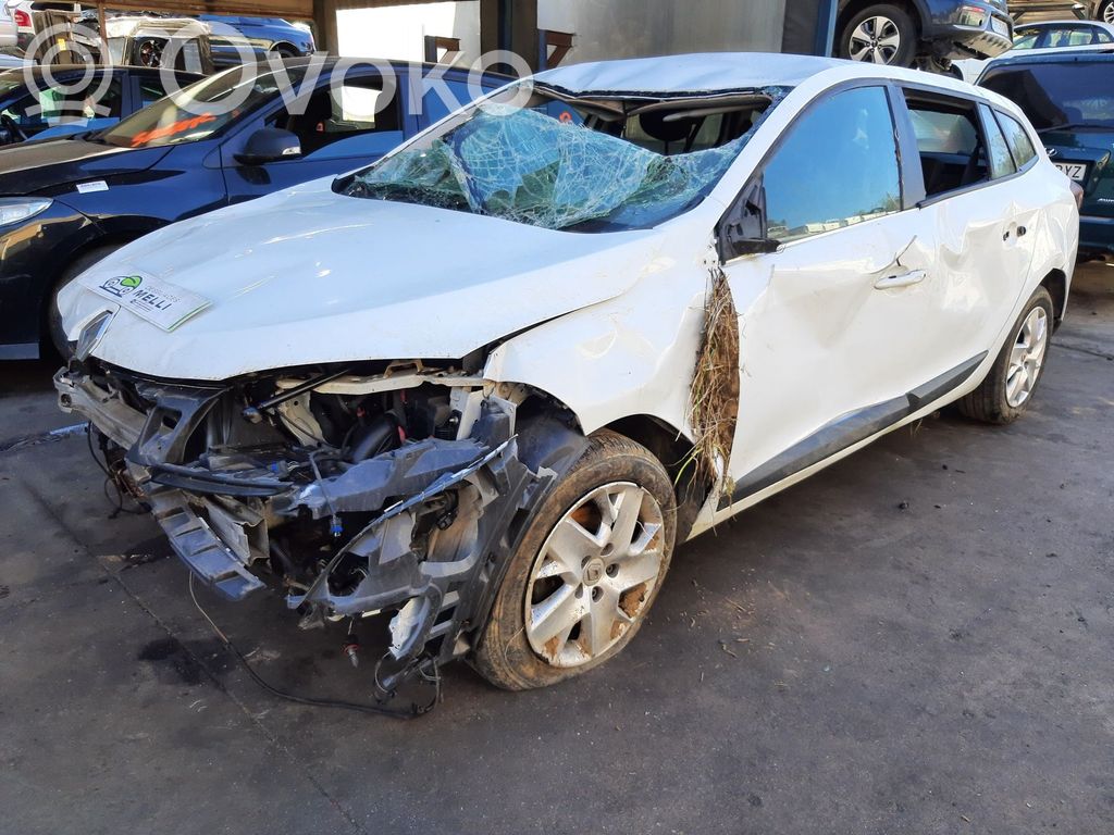 Megane III Megane  805020001R