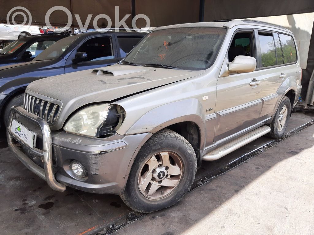 Terracan Terracan  4569631