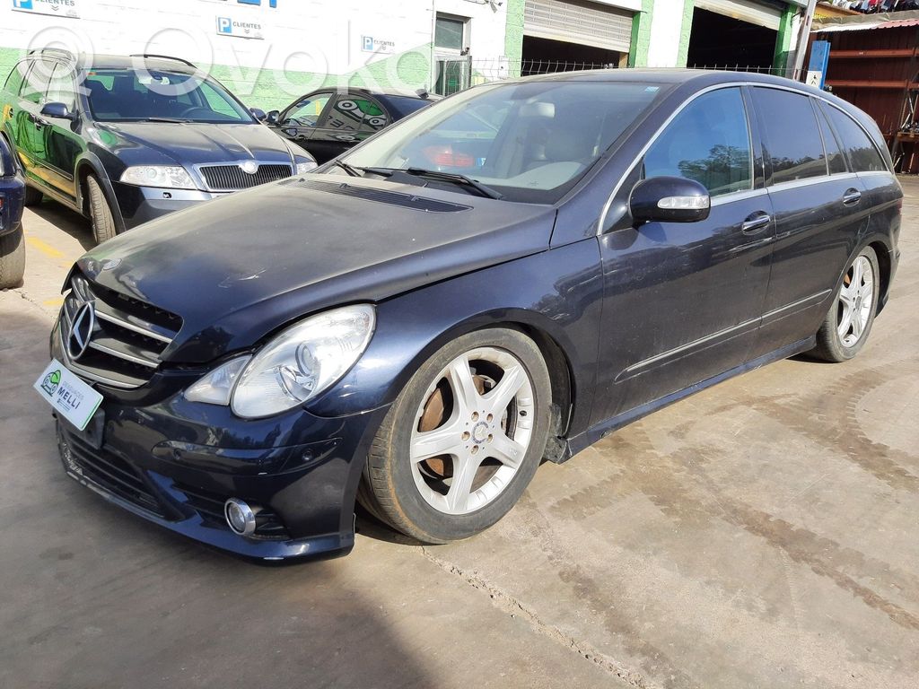 R W251 R-class, AMG (W251)  A2516830928