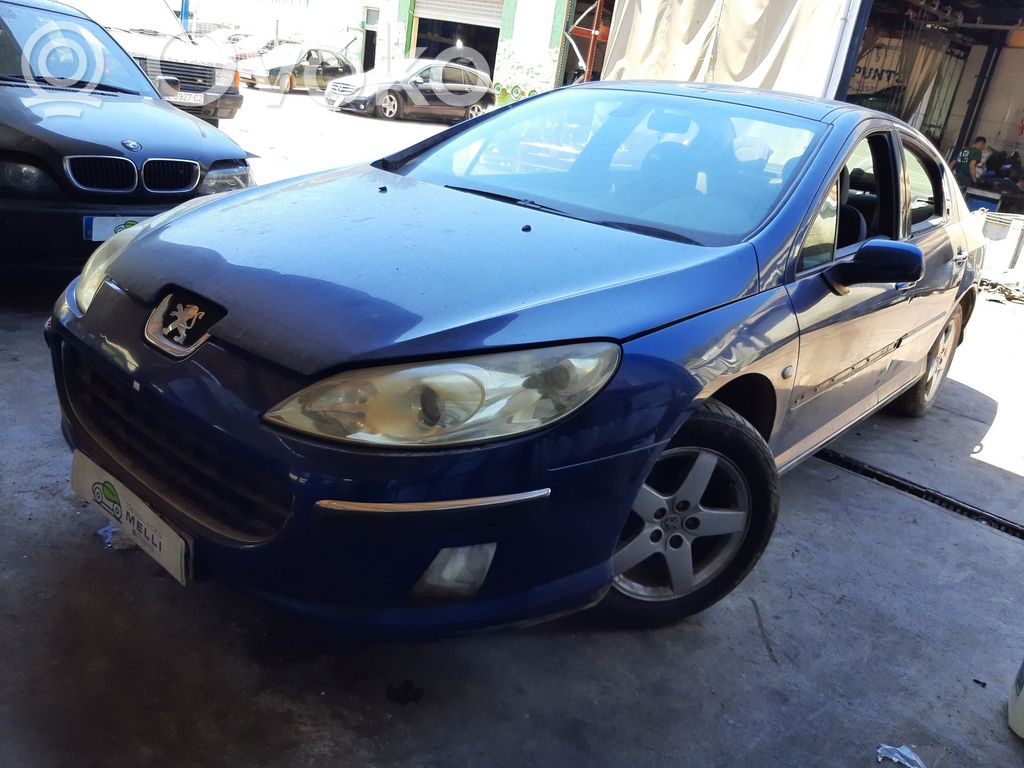 407 407  8143NZ