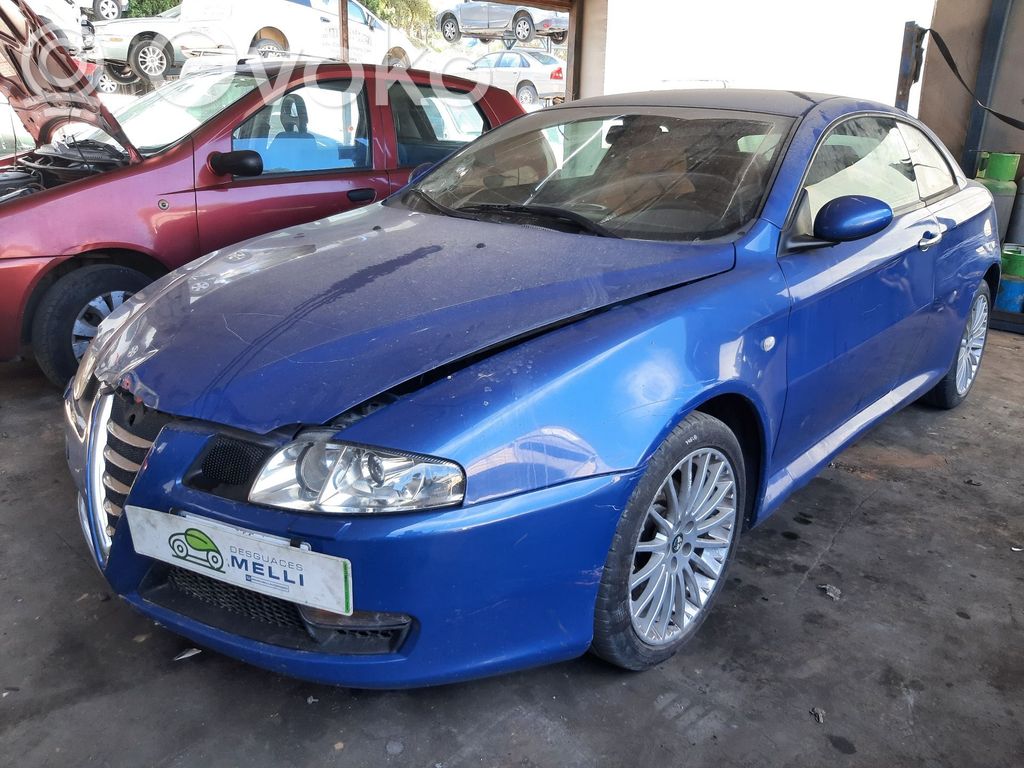 GT GT  26079506