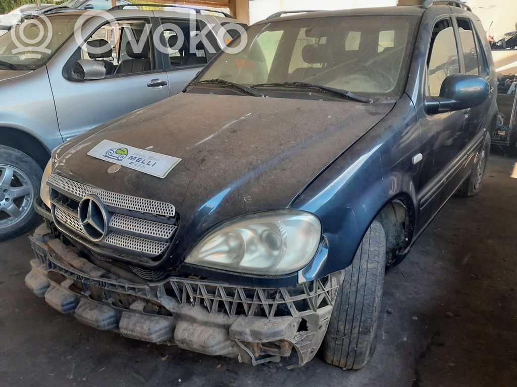 ML W163 ML-class, AMG (W163, W164, W166)  R1120161201