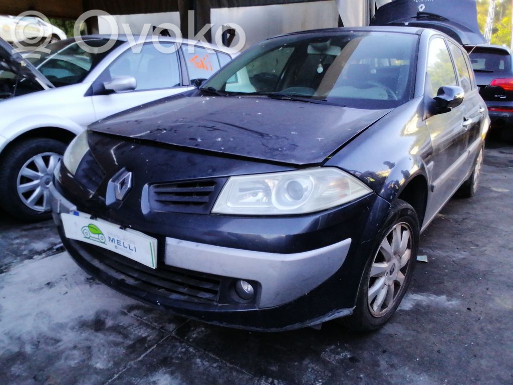 Megane II Megane  8200028487