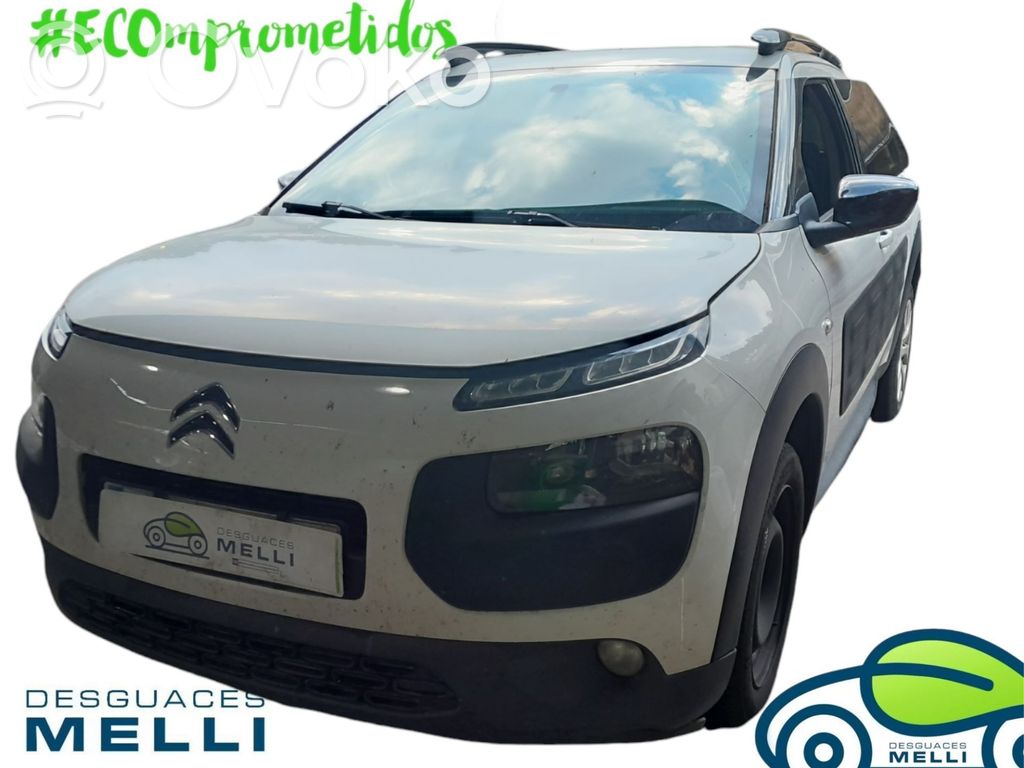 C4 Cactus C4 Picasso, Grand Picasso, Aircross, Cactus  9673622380