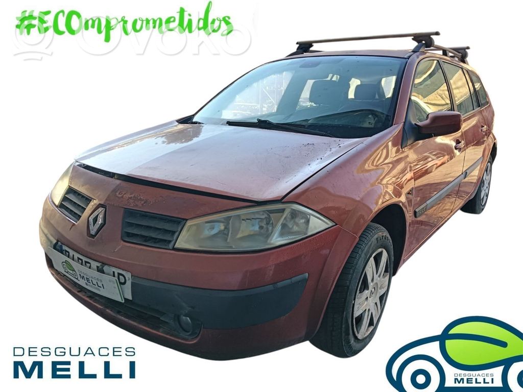 Megane II Megane  D163451323