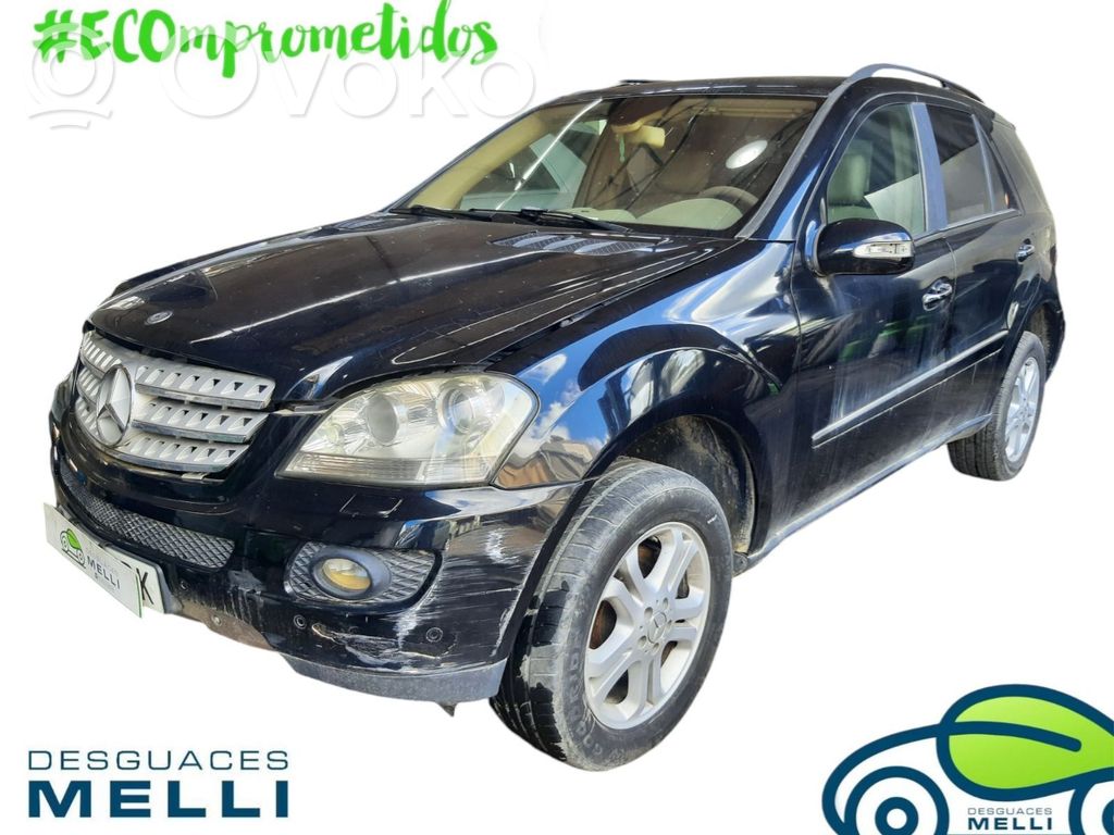 ML W164 ML-class, AMG (W163, W164, W166)  A1643000004