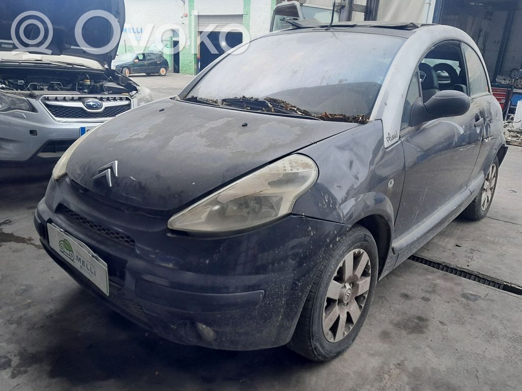 C3 Pluriel C3, Pluriel, Picasso  9647164377