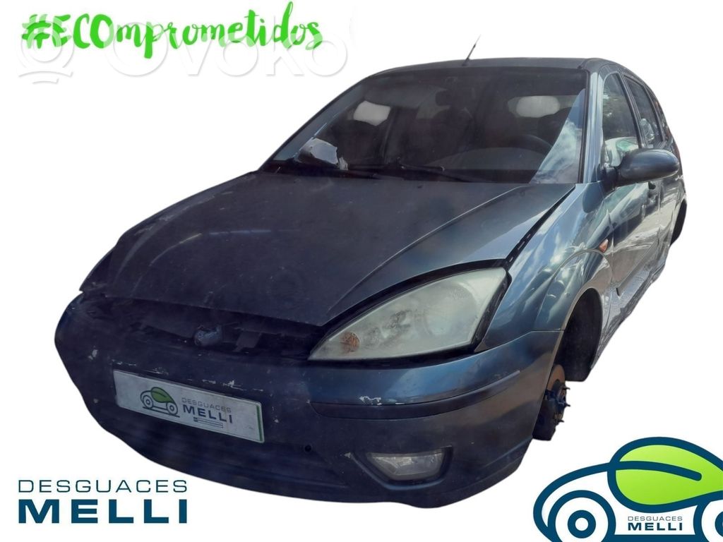 Focus Focus  1202648