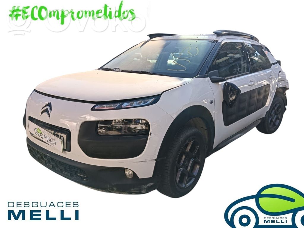 C4 Cactus C4 Picasso, Grand Picasso, Aircross, Cactus  9801808680